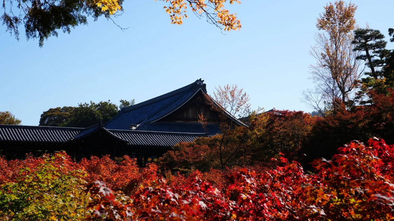 The Five Elements in Saju — Wood, Fire, Earth, Metal, Water Meaning