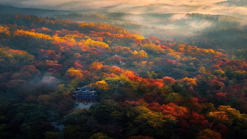Korea Autumn Foliage: Best Places to Visit in October
